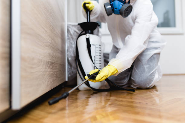 Best Affordable Pest Control Services  in Auburn, GA