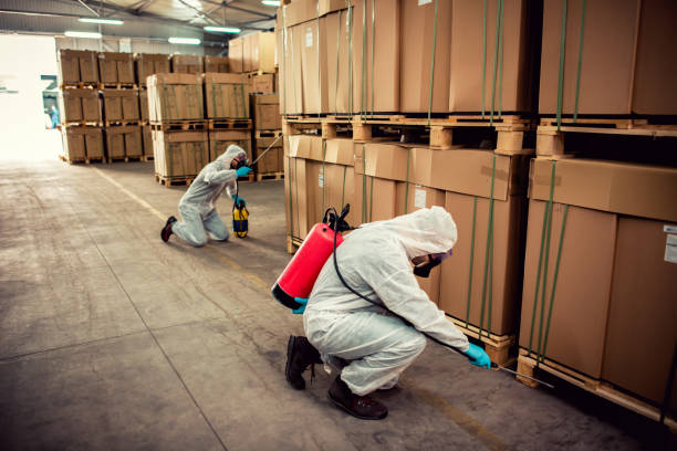 Best Pest Removal Services  in Auburn, GA