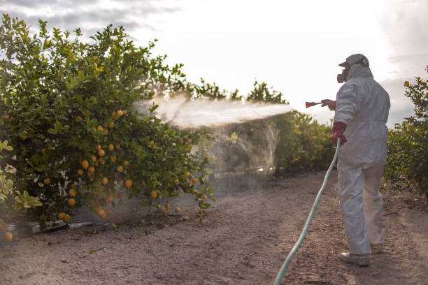Best Emergency Pest Control  in Auburn, GA