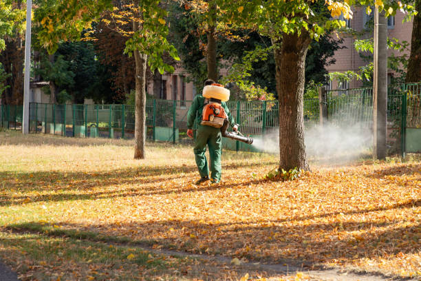 Best Exterminator Services  in Auburn, GA