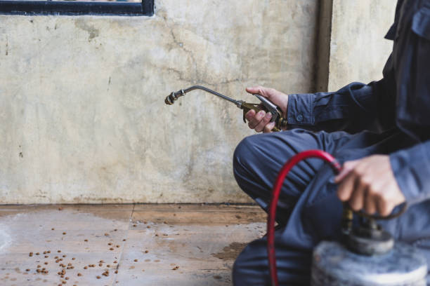 Best Residential Pest Control  in Auburn, GA